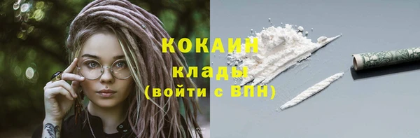 ГАЛЛЮЦИНОГЕННЫЕ ГРИБЫ Белокуриха