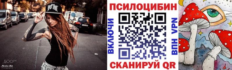 сайты даркнета наркотические препараты  как найти закладки  Сковородино  Галлюциногенные грибы Psilocybe 