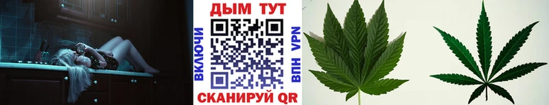 Конопля MAZAR  магазин продажи наркотиков  Сковородино 